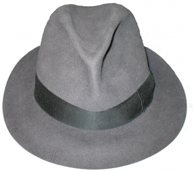 File:Fedora.jpg - David Foster Wallace Wiki : Infinite Jest