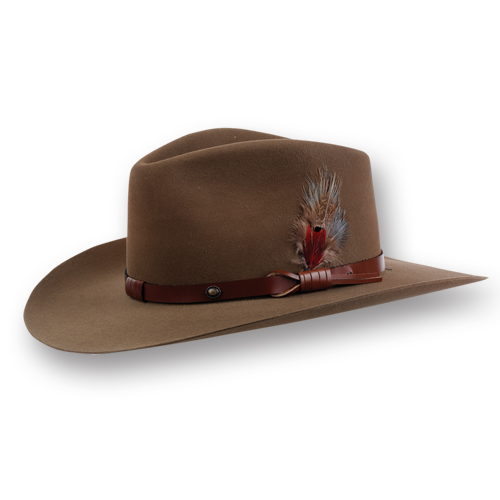 Stetson w/feather